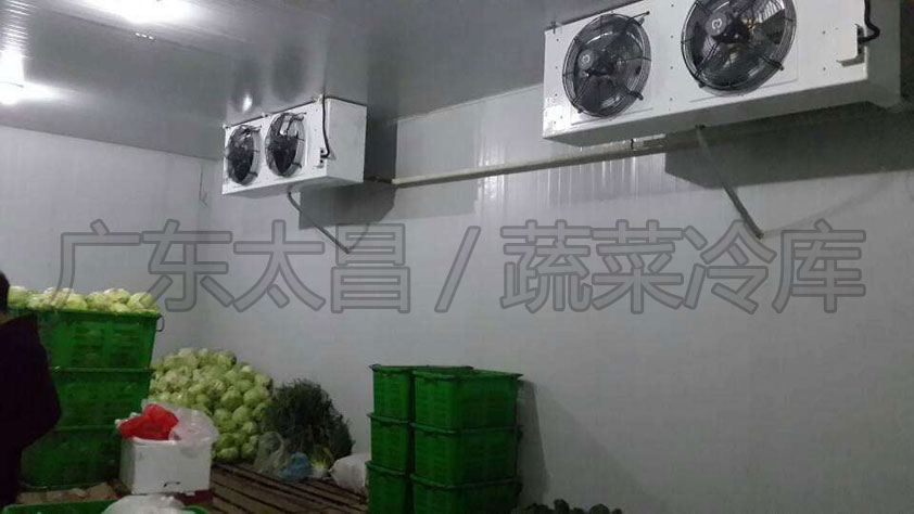 建造保鮮冷庫(kù)需要了解哪些方面？保鮮冷庫(kù)設(shè)計(jì)方案有哪些？