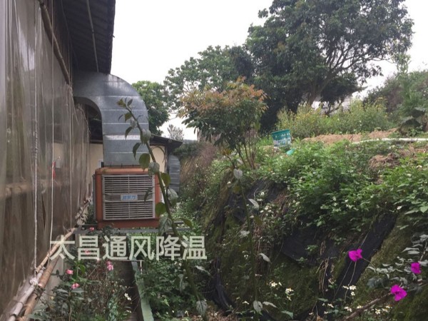 餐廳太熱？環(huán)?？照{(diào)為你送清風(fēng)